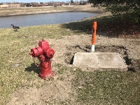 Preview of 91st._Ave._hydrant.jpeg